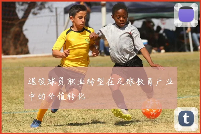 退役球员职业转型在足球教育产业中的价值转化