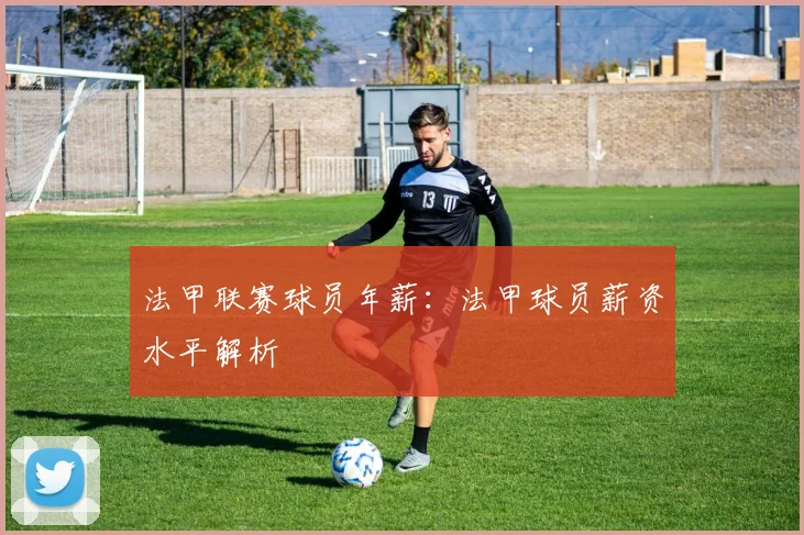 法甲联赛球员年薪：法甲球员薪资水平解析