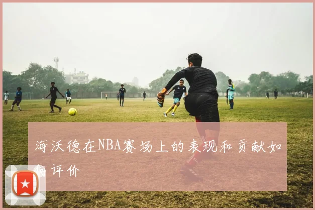 海沃德在NBA赛场上的表现和贡献如何评价