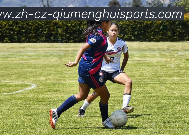 球盟会发展历程